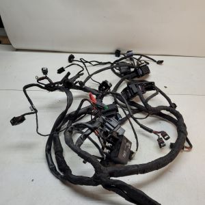 BMW – F800 R – 2021 – Faisceau électrique