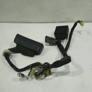Yamaha – FJR 1300 – FJR1300 – 2003 à 2005 – Faisceau additionnel